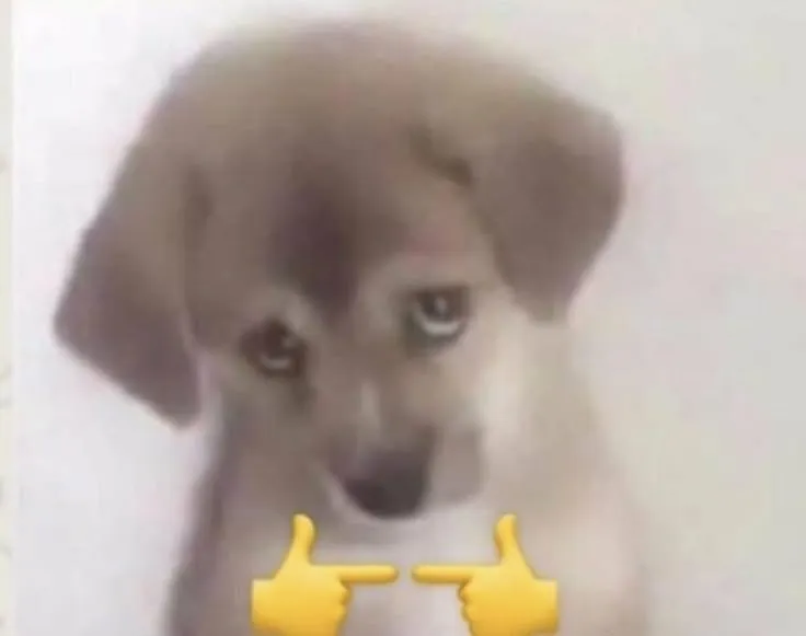 Ảnh chế chó con đỏ mặt hài hước cực đáng yêu