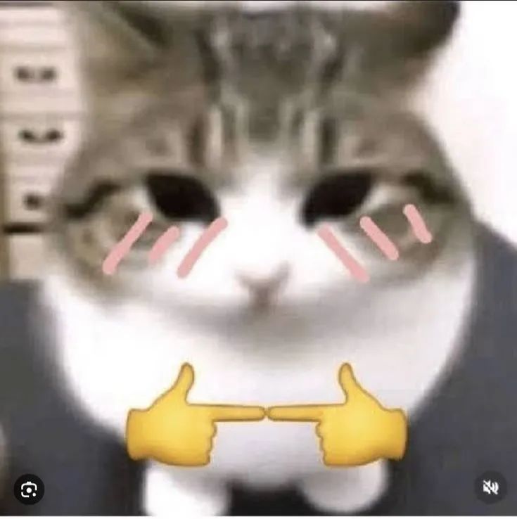 Ảnh meme mèo lúng túng gãi tai trong caption vui