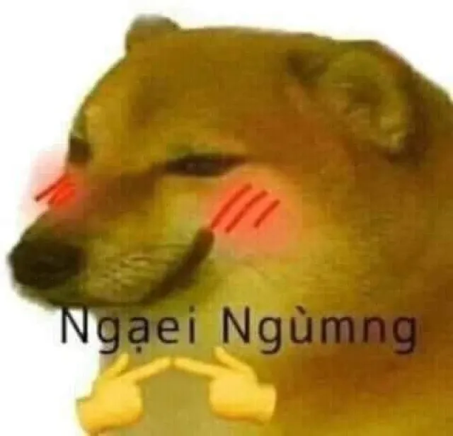 Meme chú chó che mặt đỏ mặt cực đáng yêu