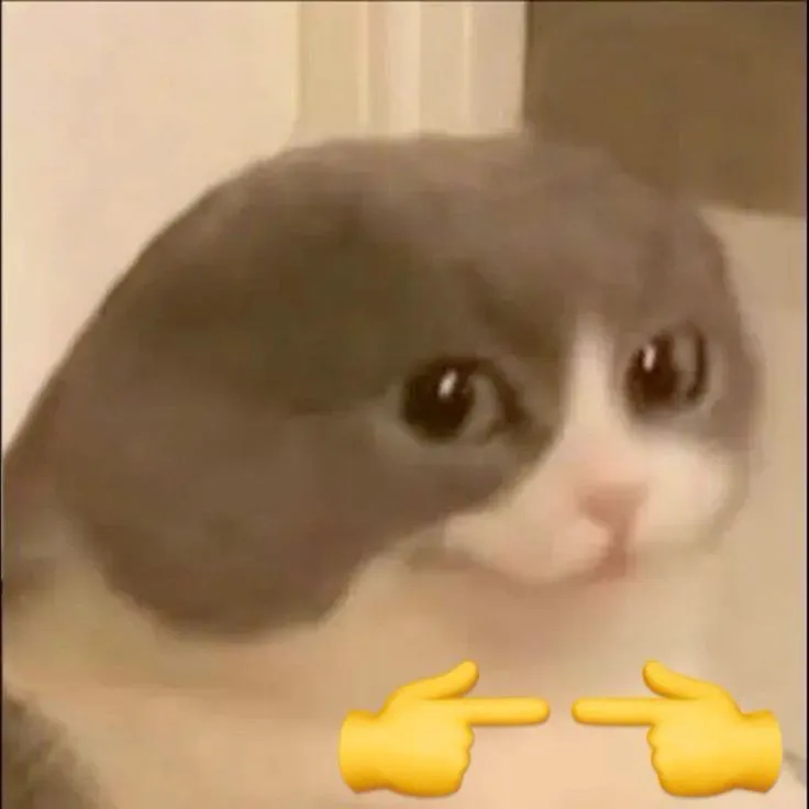 Hình troll mèo e dè nằm cuộn tròn che mặt