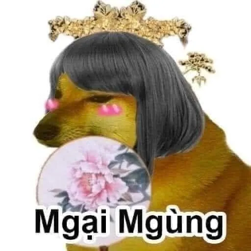 Meme mèo ngại và những pha “đỏ mặt” khiến dân mạng tan chảy