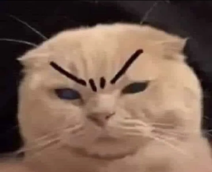 Ảnh chế mèo lườm nguýt kiểu “biết rồi khổ lắm”