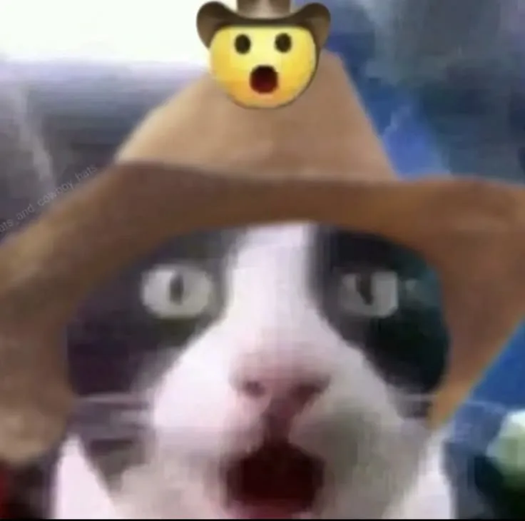 Ảnh troll mèo trắng biểu cảm choáng váng cực mạnh.