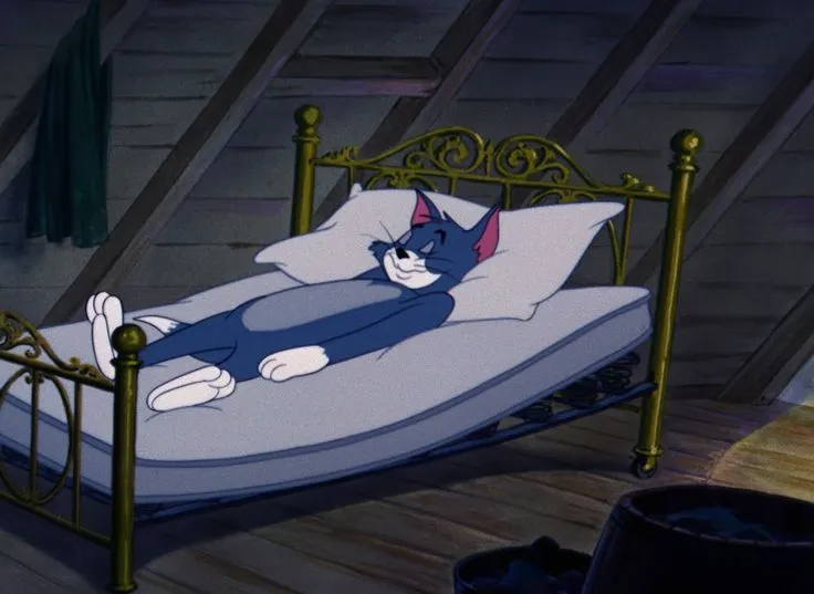 Hình chế Tom buồn ngủ lan truyền TikTok cực mạnh.