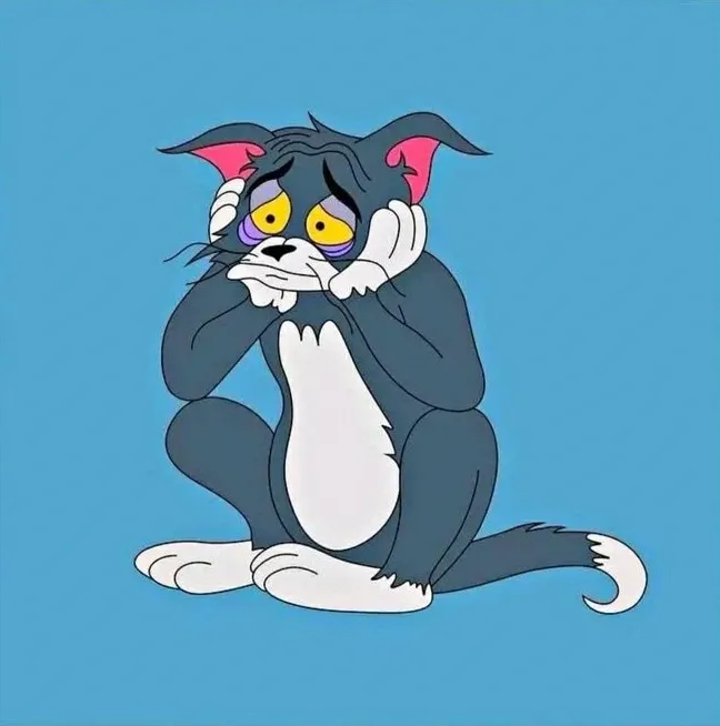 Hình troll Tom lăn ra ngủ sau deadline mệt xỉu.