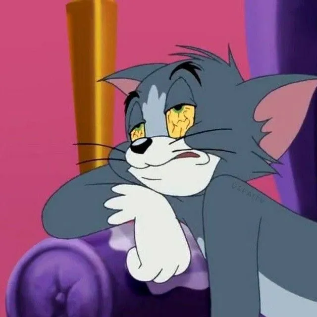 Meme chế hoạt hình Tom và Jerry với vibe ngủ gật.