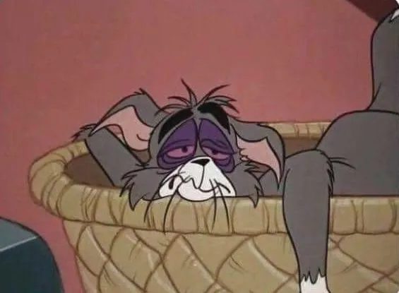 Ảnh troll biểu cảm Tom mệt mỏi nhìn phát hiểu liền.