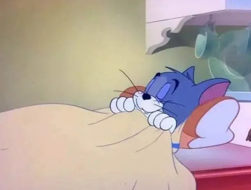 Bộ ảnh Tom lim dim dễ thương, biểu cảm quá đời thường