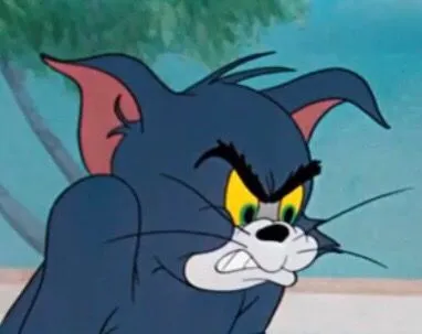 3 Khoảnh khắc mèo Tom gồng mình trong cay đắng