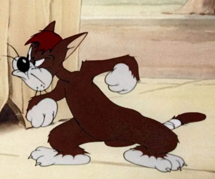 13 Ảnh mèo đen bực dọc cáu kỉnh đầy cảm xúc