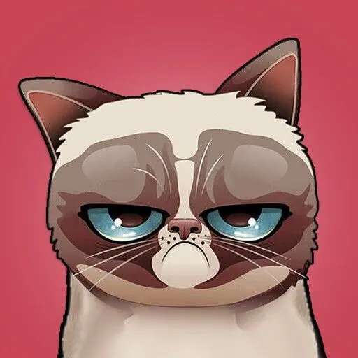 Ảnh mèo giận dữ, nhăn mặt cau có siêu hài hước