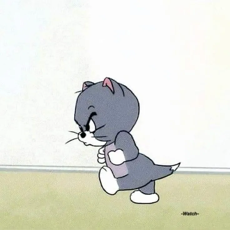 Meme mèo nhăn mặt lan truyền mạng xã hội