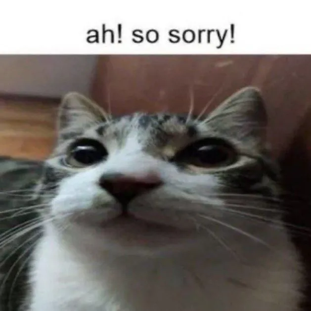Hình chế vui mèo cúi đầu tỏ lòng ân hận.