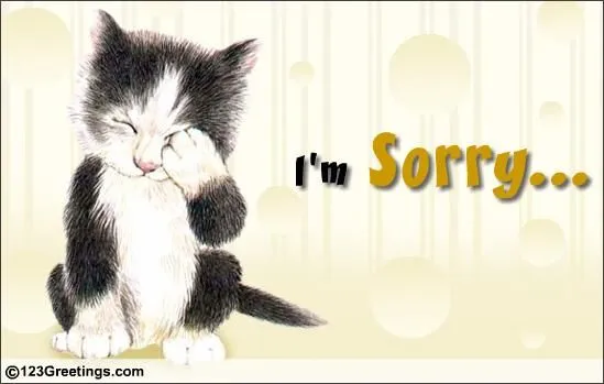 Ảnh hài mèo tỏ vẻ hối hận như người.