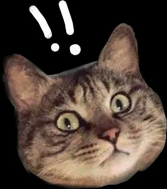 Meme mèo hoang mang gương mặt cau có cực hài