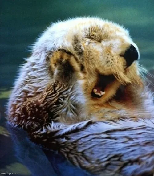 Meme xấu hổ nhưng ánh mắt vẫn ánh lên sự thích thú.