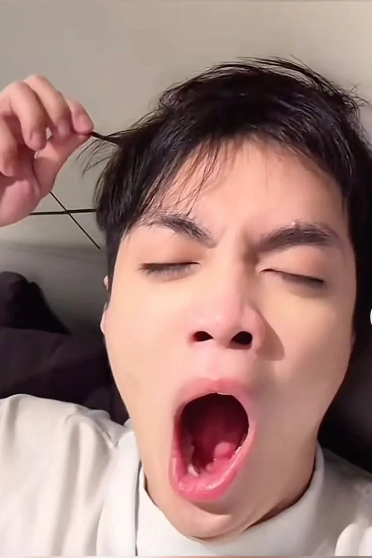 Hình chế ngáp mang nét duyên dáng bất ngờ