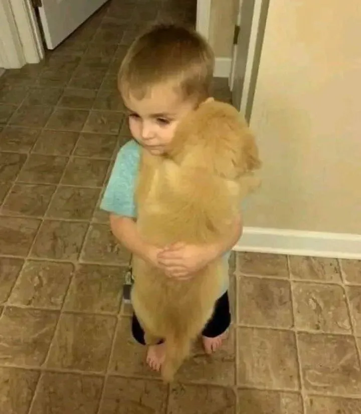 Ảnh troll ôm giữa hai người bạn cũ lâu năm