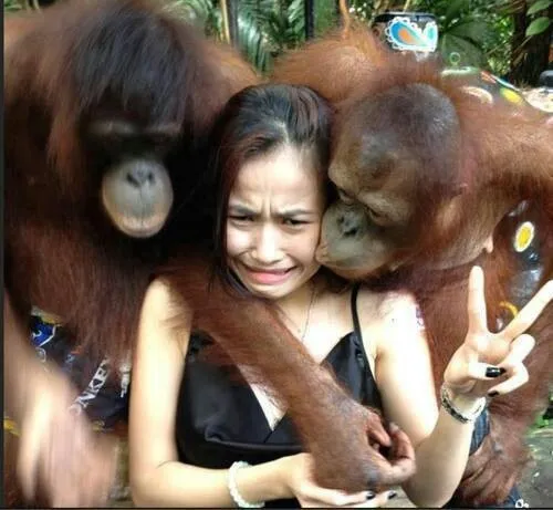 Meme ôm tạm biệt với ánh mắt chan chứa nước