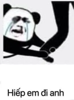 Meme ôm chân – biểu tượng của những pha năn nỉ cười ra nước mắt