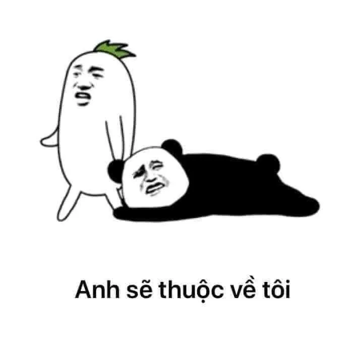 Meme ôm chân thể hiện cảm xúc năn nỉ hài hước và chân thành.