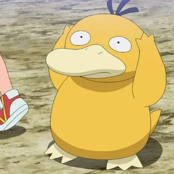 Meme thú mỏ vịt ôm đầu bất ngờ ngáo ngơ