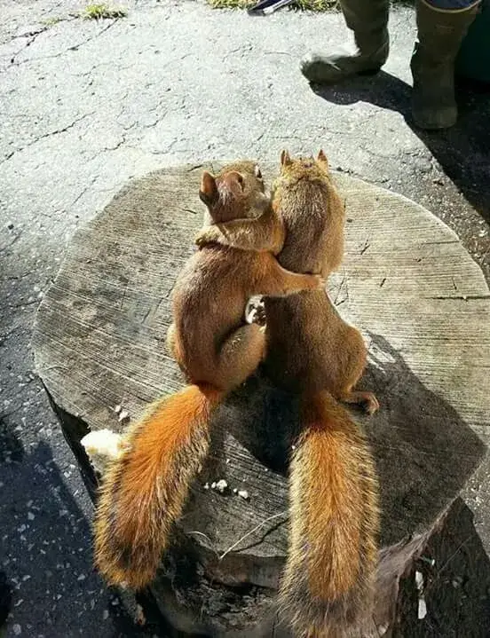 Khi yêu thương không cần lời, chỉ cần một cái ôm