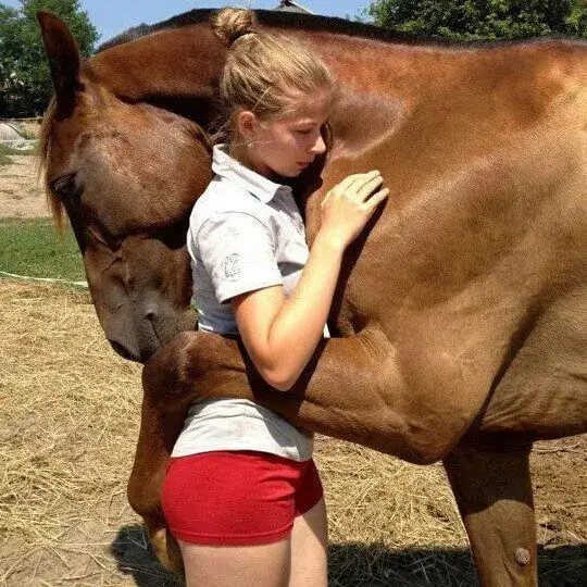 Những meme ôm khiến lòng người tan chảy vì quá thật