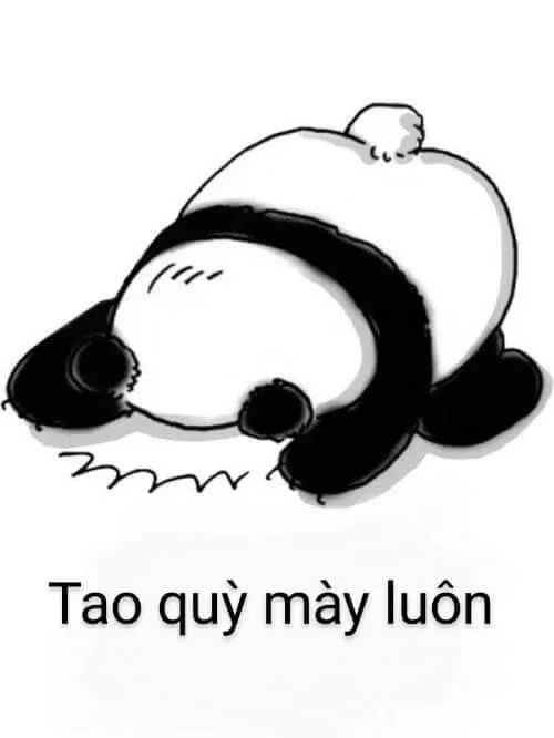 Meme gấu trúc hài hước quỳ xuống xin tha