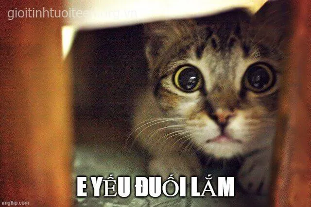 Ảnh chế giật mình khi bị bạn tag vào ảnh dìm