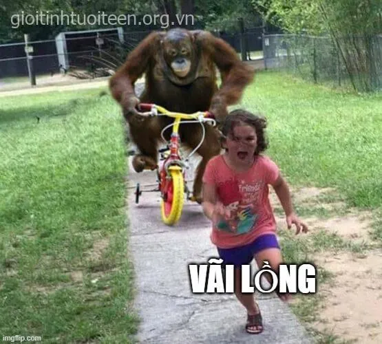 Meme vui kinh hoàng vì con gián bay hướng về mình