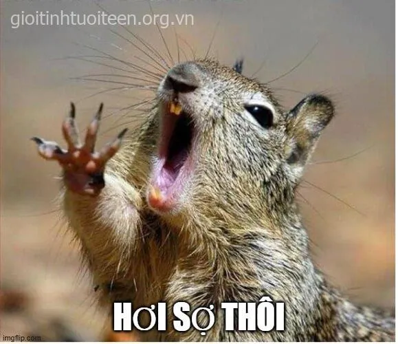 Hình chế rợn người khi thấy ex like ảnh mới