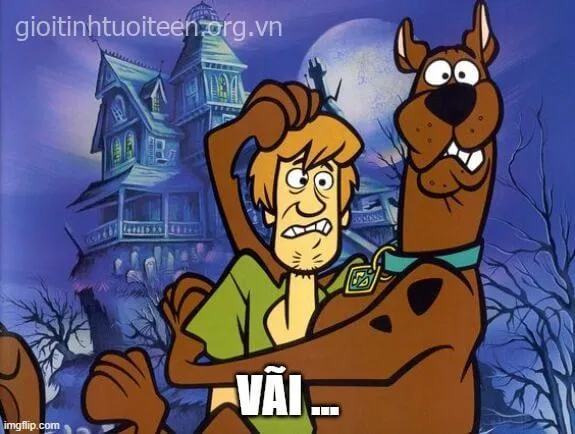 Meme vui kinh khủng khi nghe tiếng “đóng cửa” sau lưng