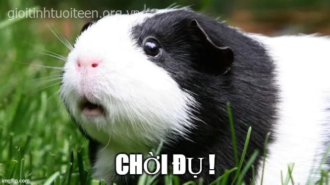 Ảnh vui tái mét khi thấy hóa đơn tiền điện tháng này