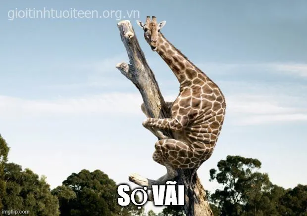 Ảnh troll run sợ khi thấy giá xăng tăng chóng mặt