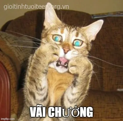 Meme vui run run khi đang giả ngủ mà mẹ mở cửa