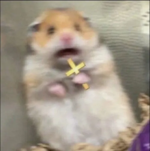 Bộ sưu tập meme sợ sệt chuẩn “rợn da gà” nhưng vẫn khiến bạn phải bật cười