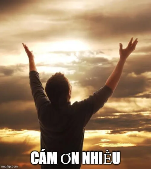 Biểu cảm chân thành, ánh mắt long lanh.