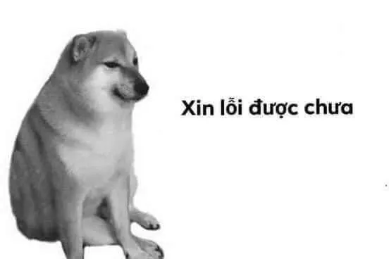 Meme chế xin lỗi gắn với lời nói chân thành và cảm xúc thật