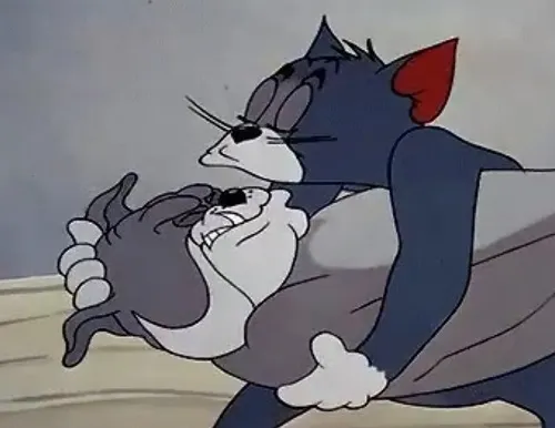 Mèo Tom ôm hôn chó Spike