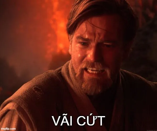 Ảnh chế giận giả vờ khiến người xem cười ngã ghế.