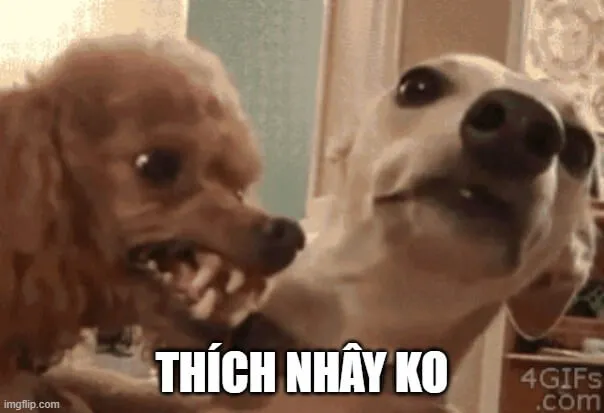 Meme tức tối phóng đại khiến tình huống trở nên vui nhộn.