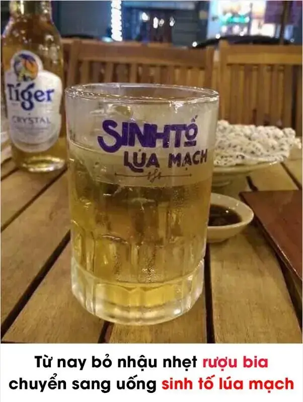 Sinh tố lúa mạch