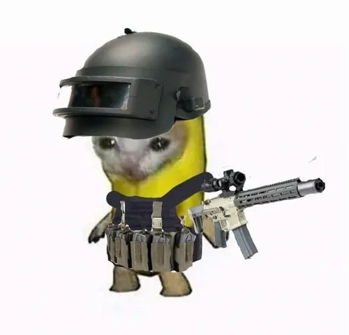 Meme mèo cầm súng: cảnh cáo vui lan khắp TikTok