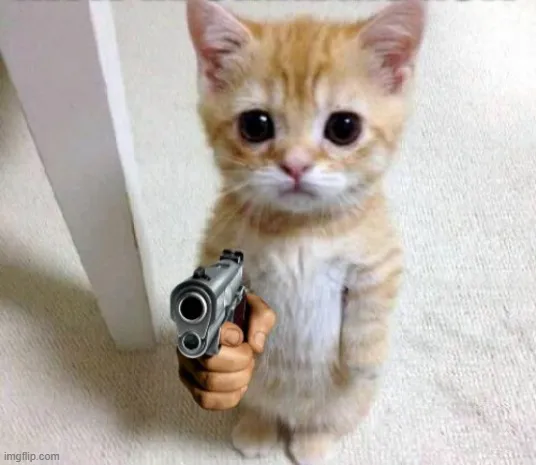 Meme hài mèo cầm súng nhựa trông ngầu bá cháy