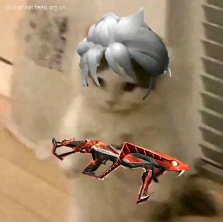 Hình chế mèo lạnh lùng cầm súng trông cưng xỉu