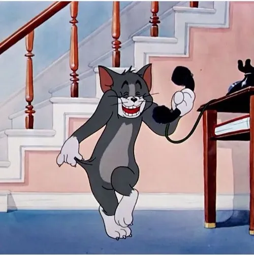 Ảnh hài Tom đang chống nạnh kiểu giận dỗi