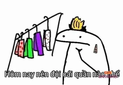 Meme đội quần mô phỏng biểu cảm “toang thật rồi”.