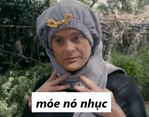 Meme troll cực hợp dân thích tự trào bản thân.