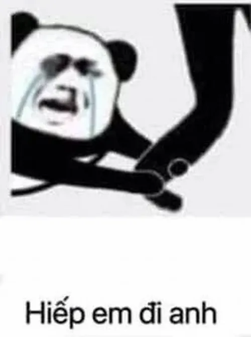 Ảnh troll gấu trúc cười nửa miệng như biết chuyện hay.